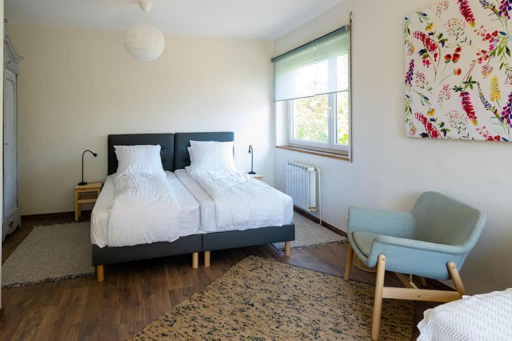 Cosy Home In South Alsace For Work And Leisure Pfastatt Esterno foto