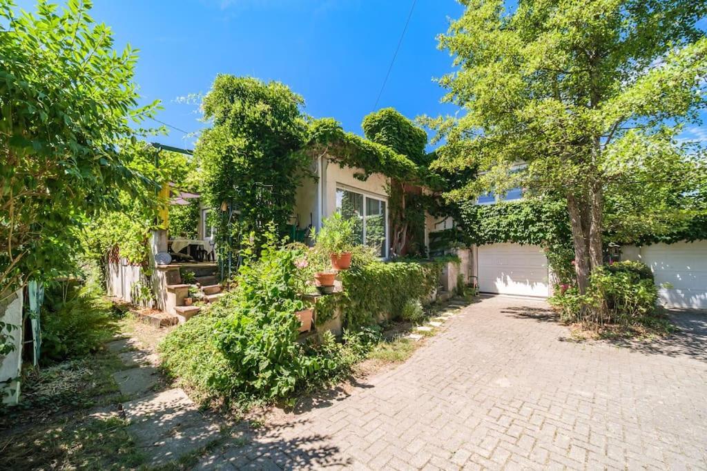 Cosy Home In South Alsace For Work And Leisure Pfastatt Esterno foto